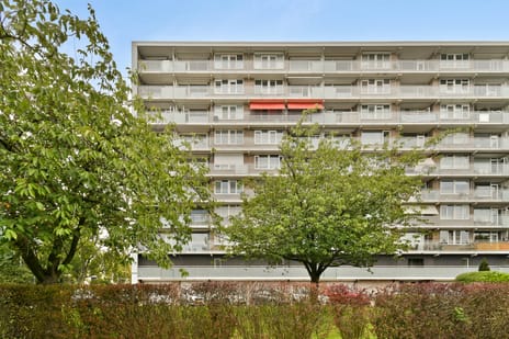 Holysingel 608