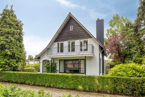 van Hornestraat 6