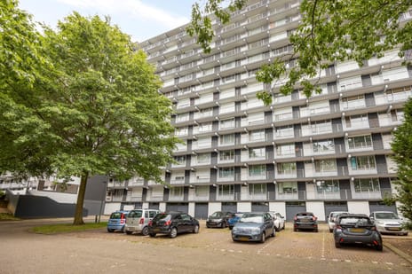 Henri Dunantstraat 301