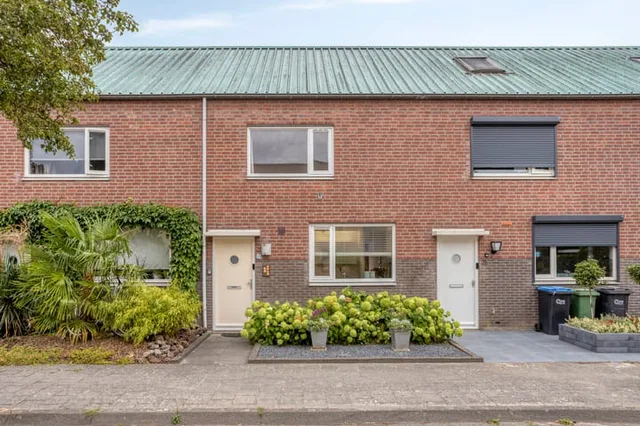 Gelaarsde Kat 19