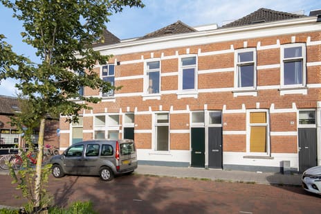 Marksingel 13