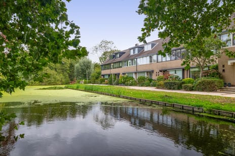 Zilverschoon 38