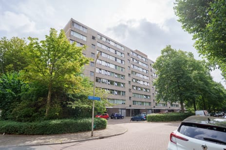 Roland Holstlaan 979