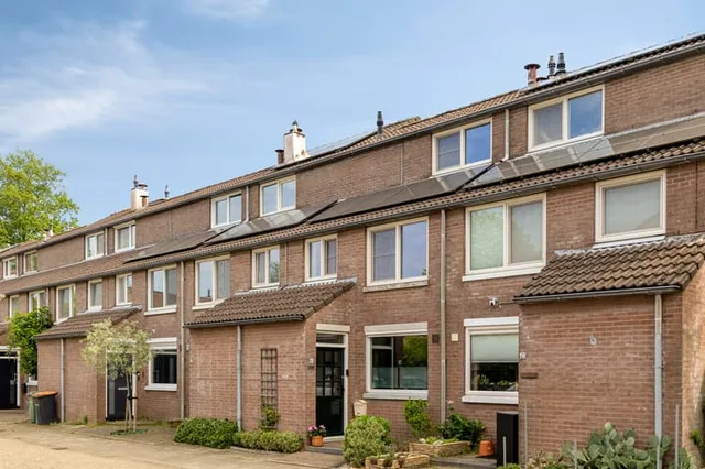 Robbeknolerf 45