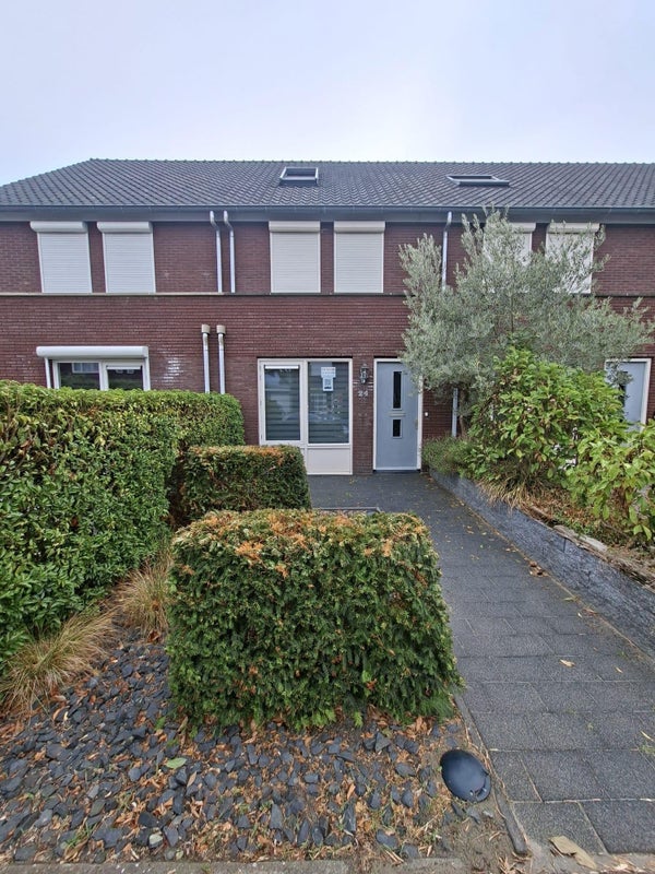 Pepermuntstraat