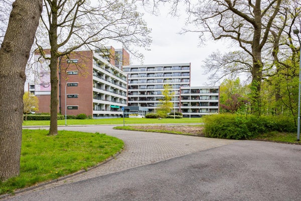 Angelsloërdijk