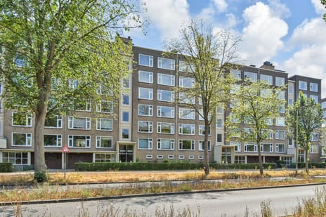 Segbroeklaan 248