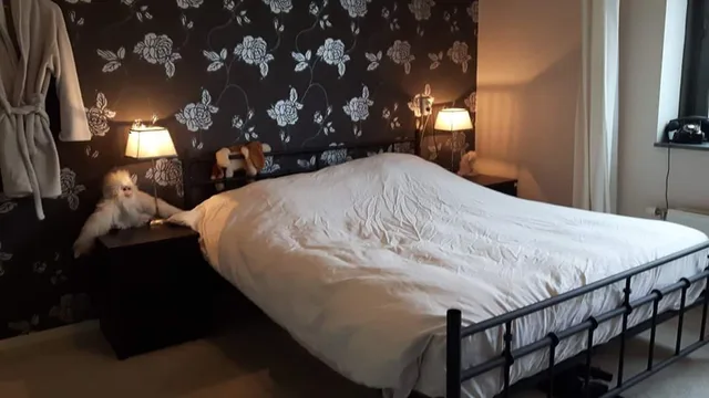 Bijlmerdreef