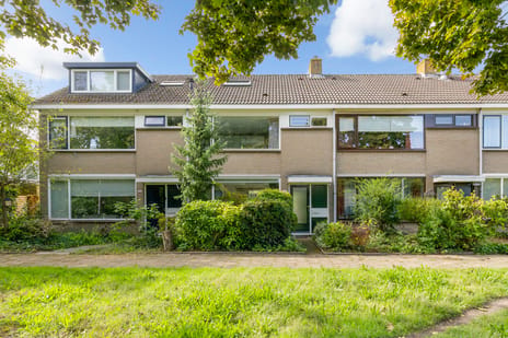 Couwenhoven 5325