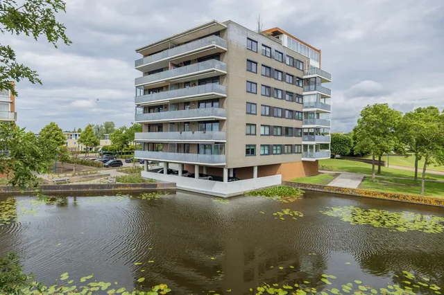 Mien Ruyspark 54