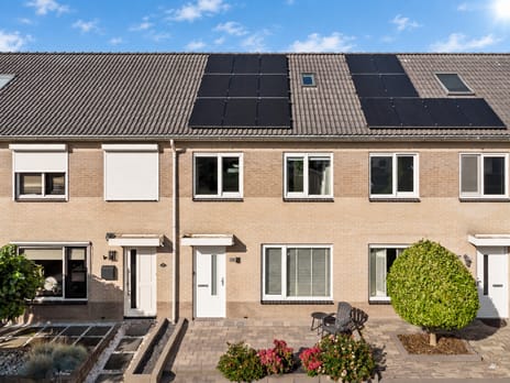 Haagwinde 38