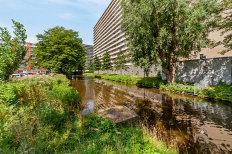 Hendrik Tollensstraat 250