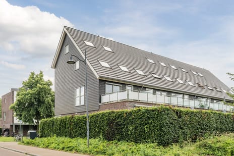 Zijdevlinder 136