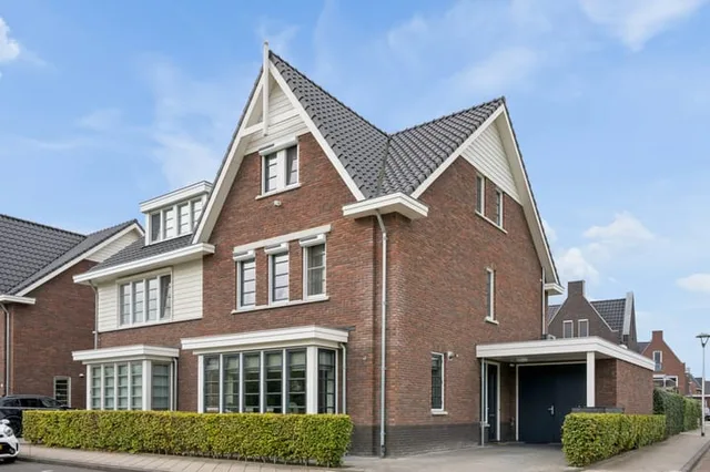 Gouden Regen 50