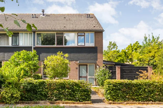 Zenegroen 23