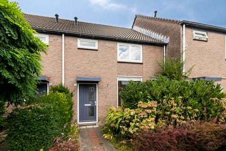 Zilvermeeuw 64