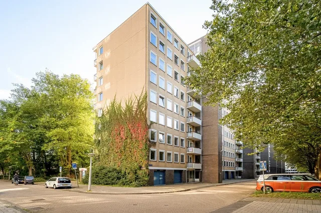 Van Nijenrodeweg 459