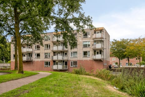 Nijenrode 33