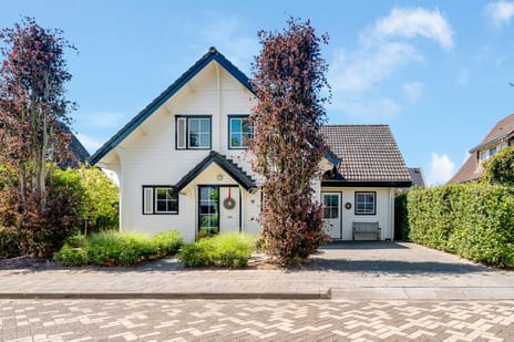 Zilverschoon 9