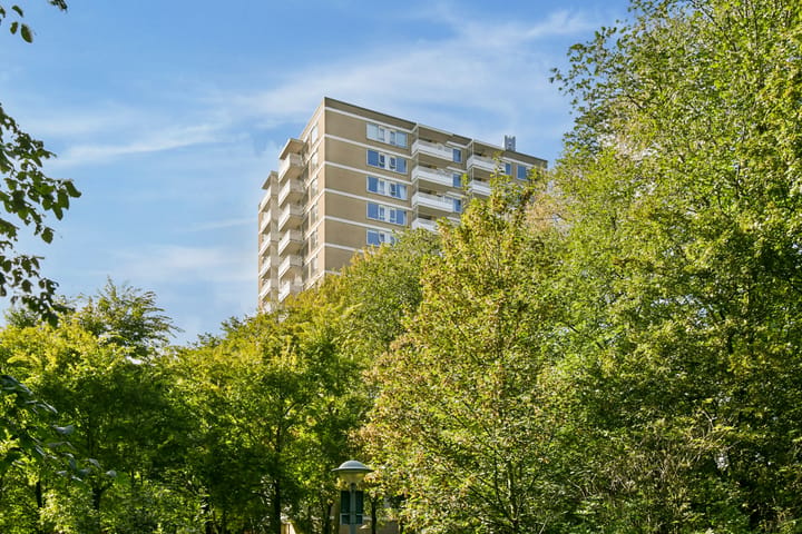 Nachtwachtlaan 308