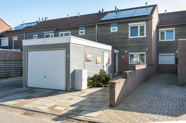 Huismus 36