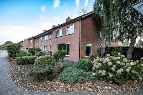 Anjelierstraat 10