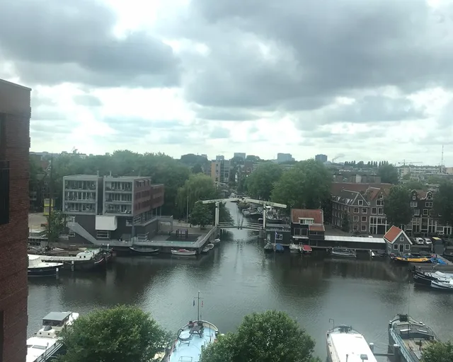 Coffijboomstraat