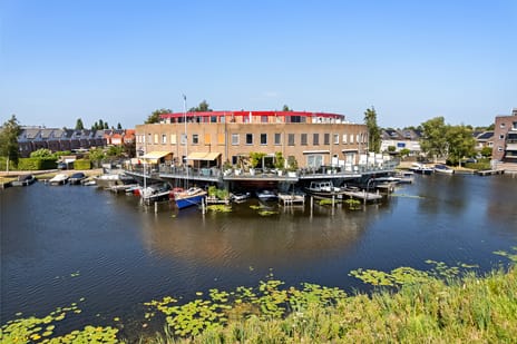 Kleine vos 24