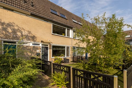 Thijsselaan 31