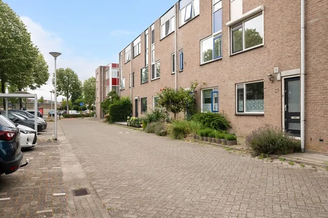 Goudplevier 37