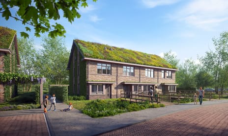 Goudsbloem (Bouwnr. 8)