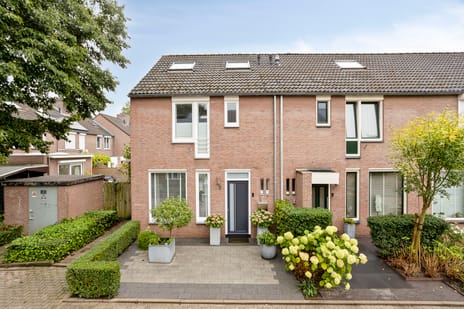 Papaverweerd 7