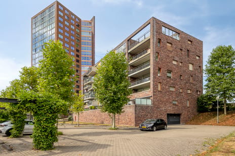 Forel 278