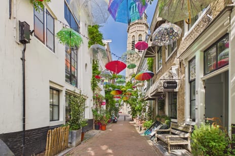 Reigerstraat 4