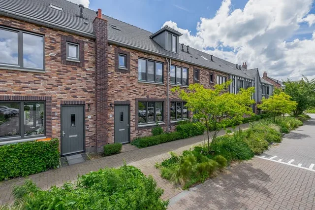 Meerval 19
