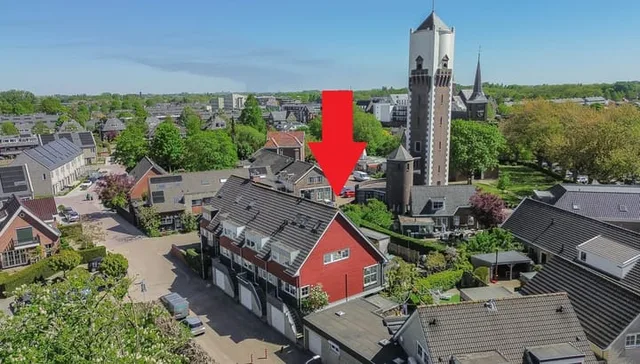 Sandelhout 2