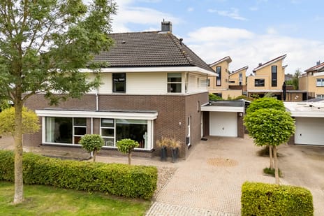 Het Zool 11
