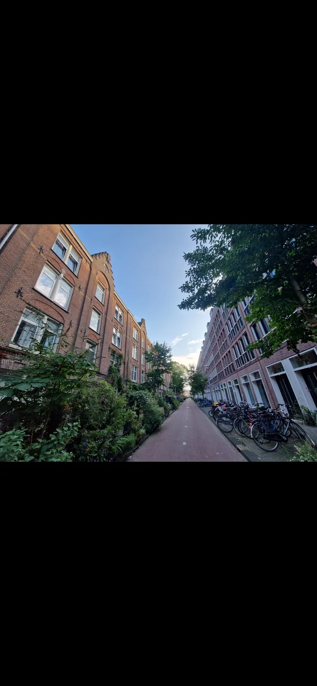 Czaar Peterstraat