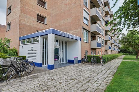 Albert Cuypstraat 68
