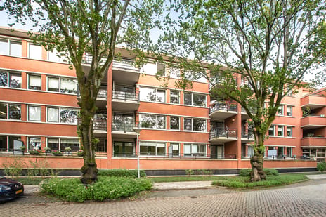 Iepenlaan 66