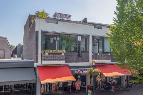 de Brink 41