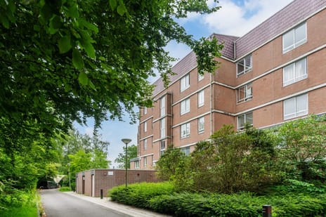 Liendenhof 275