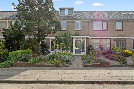 Scholeksterstraat 7