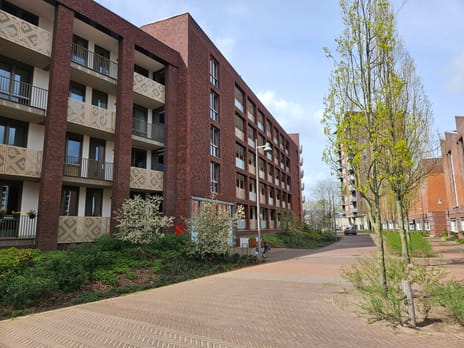 Koningsloper 409