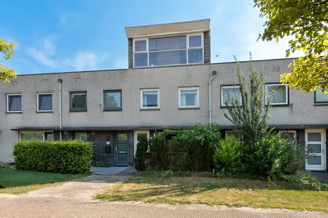 Pad van Jip en Janneke 8