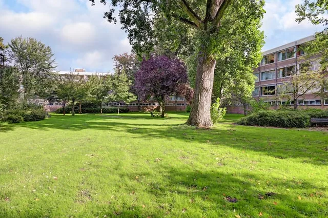 NVM Open Huizen Dag Gijsbrecht van IJselsteinstraat 39
