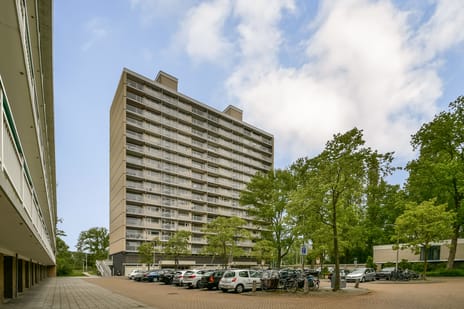 Westelijk Halfrond 425