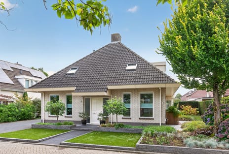 Goudplevier 4