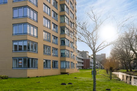 Loosduinse Uitleg 72