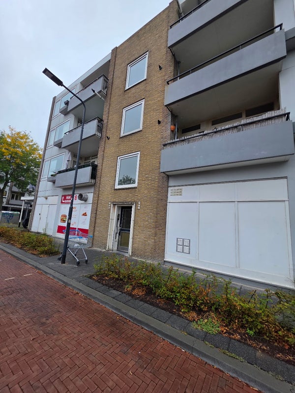 Robijnstraat